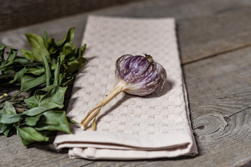 Unpeeled garlic bulb on a cloth and old tree in an old kitchen or farm