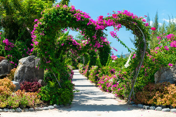 Heart-shaped arch with pink flowers in a park in the tropics under sunlight