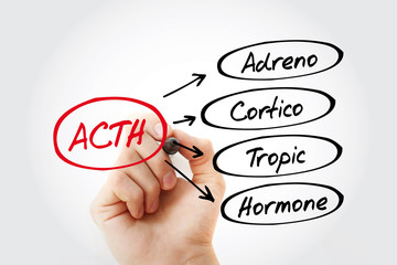 ACTH - Adrenocorticotropic hormone acronym, medical concept background