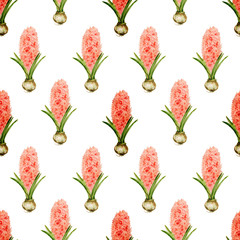 Seamless pattern with hyacinth flower spring print textile paper summer March 8 congratulations background greeting card on white separately hand drawn