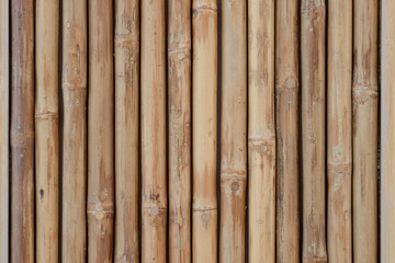 Closeup of bamboo wooden for background and texture.