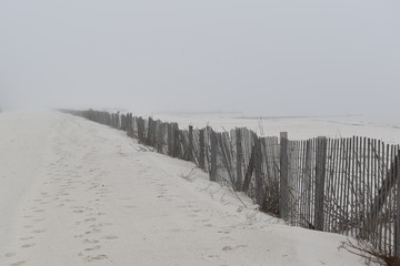 Long beach fence