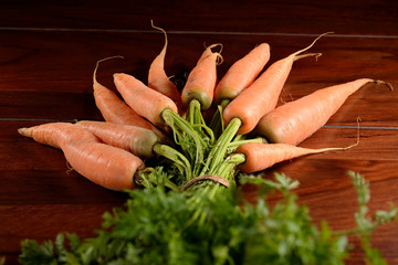 Bunch of carrots with foliage