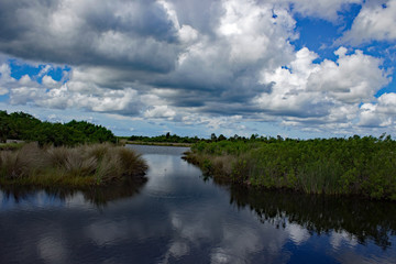Fototapeta na wymiar Everglades Florida USA