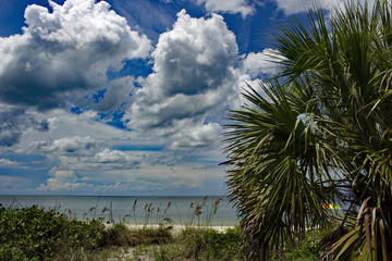 Bonita Beach Florida USA