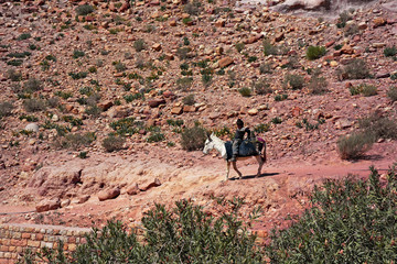 Berber child on his galloping donkey in a deserted area of Jordan.