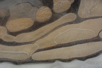 Obraz premium The first autumn frosts, ice on puddles.