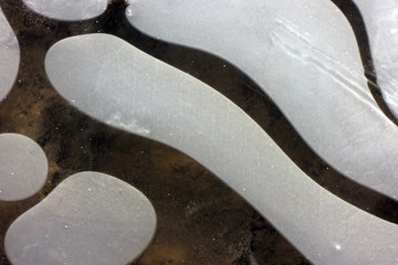 The first autumn frosts, ice on puddles.