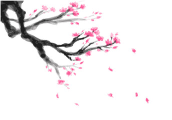 梅の花・水彩画背景イラスト素材