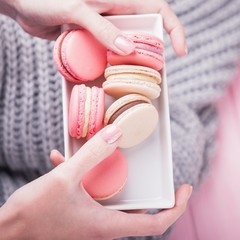 Female hands holding rectangular white plate with delicious pink and beige macaroons on pink and gray background. Top view