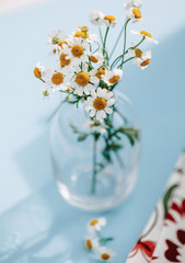 Fototapeta na wymiar Bouquet of small white daisies in a transparent vase on a blue background