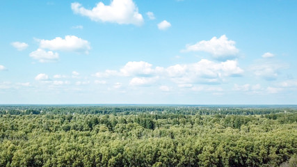 Fototapeta premium Siberia in summer. Omsk region. 