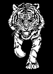 Running tiger with predatory grin. Aggressive predator ready for a deadly jump. Stencil on a black background. Vector illustration