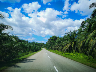 Fototapeta premium Beautiful day on an empty road to nowhere