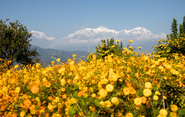 Pokhara Annapurna Range (Nepal)