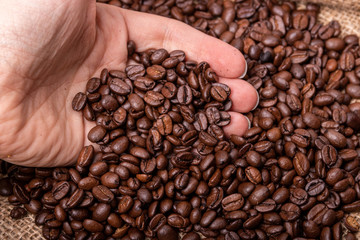 coffee beans in male hand
