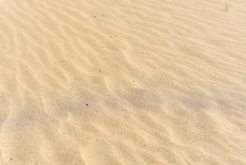 Fototapeta na wymiar sand background, playing with sand