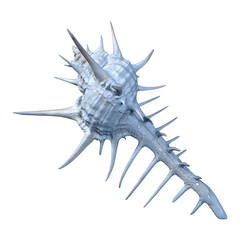 3D Rendering Sea Shell on White