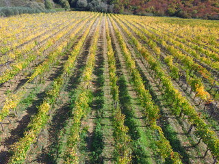 october chianti aerel view