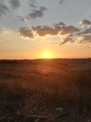 sunset over green field