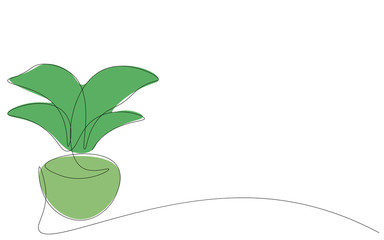 Green plant in pot design vector illustration