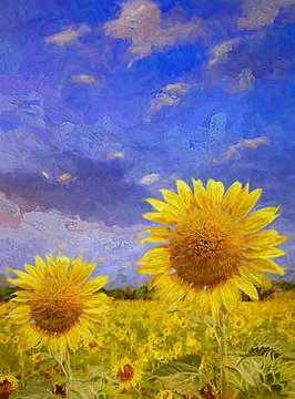 Beautiful summer time in blooming sunflower field in the evening colorful sky.- oil painting