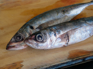 Two raw mackerels on a wooden board