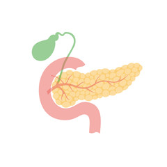 pancreas and gallbladder