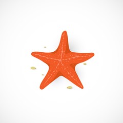 Fototapeta na wymiar Vector cartoon icon of red Starfish, isolated on white background. Marine Sea Star illustration in flat style for summer design, print, vacation concept. Marine invertebrates.