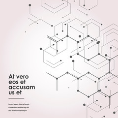 Modern connect molecular structure with hexagon vector elements