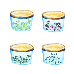Watercolor set with glass containers with green isolated on a white background. Food storage, microgreens in a dish, a healthy lifestyle, vegetarianism.