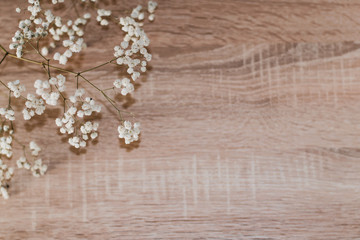 bunch of Gypsophila (Baby's-breath flowers) on old wooden table