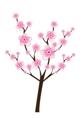 pink and white color blossom with illustration design