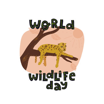 World wildlife day hand drawn lettering text with fun leopard lying on a tree branch and enjoys the sunset. Fun hand drawn vector illustration on isolated background.