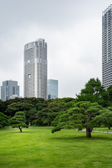 Fototapeta premium Architecture japonaise