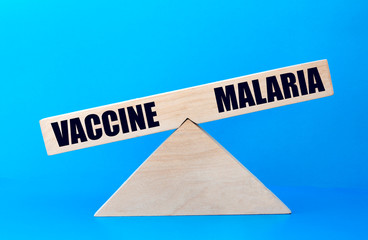 concept of the balance of words vaccine and malaria on wooden scales