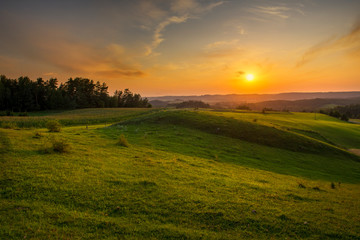 Beautiful summer sunset at green fields