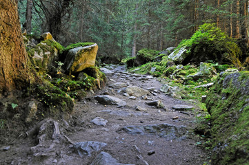 Obraz premium weg im stubaital