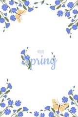 Fototapeta na wymiar Spring greeting card chicory flowers. Vector layout decorative greeting card or invitation design background.