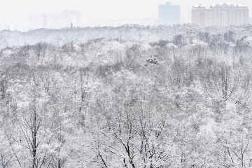 above view of snow-covered forest and city