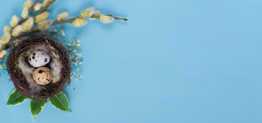 Happy Easter.Small Easter eggs in a nest on a blue background for a banner, store sales, discounts.Zero Waste.Minimalism.Spring.Holiday greeting card.Mock up.Copy space.Top view