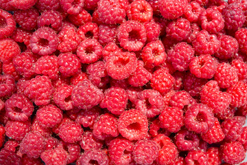 raspberry texture background. red ripe fresh berries