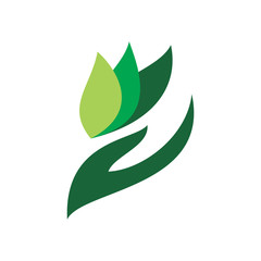Obraz premium green nature leaf hand logo design