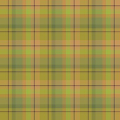 Seamless pattern in amazing forest green and brown colors for plaid, fabric, textile, clothes, tablecloth and other things. Vector image.