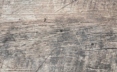 old rustic wood texture background