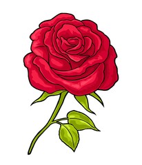 Rose flower with leaf. Color flat illustration on white