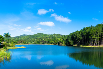 Las Terrazas, Artemisa, Cuba