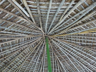 natural roof