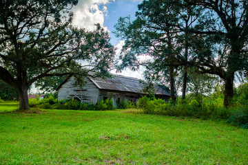 Obraz premium Old Barn