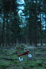 Abandoned tricycle on mossy ground in fir woodland.
